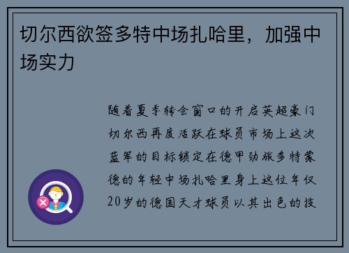 切尔西欲签多特中场扎哈里，加强中场实力